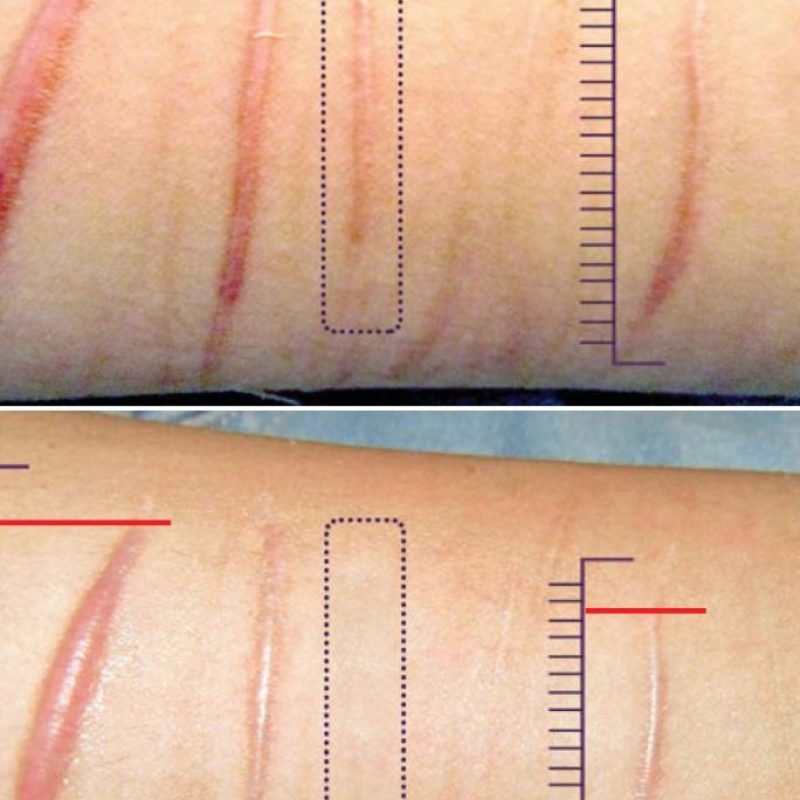 plasmage3-684x1024-3-pyklowwweshcghce81l7z6qwjep0cv3buy19y2pphc